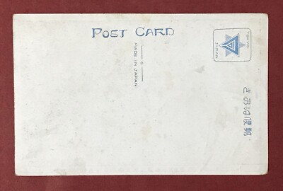 Japan Photo Postcard 1927 State Funeral of Emperor Taisho #PB019