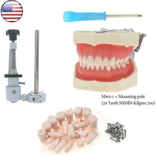 US Dental 28Pcs Typodont Teeth Mounting Pole Model fit Kilgore Nissin 200 Type