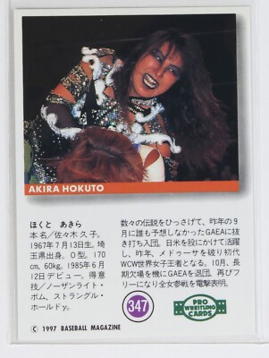 AKIRA HOKUTO - 1997 BBM Pro-Wrestling Trading Card | eBay
