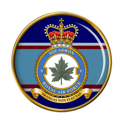 5 Squadron, RAF Anstecknadel