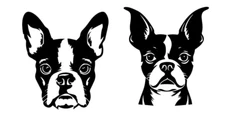 Boston Terrier 2 Pack Black Vinyl Decals Car Windows Laptop Tablet Notebook