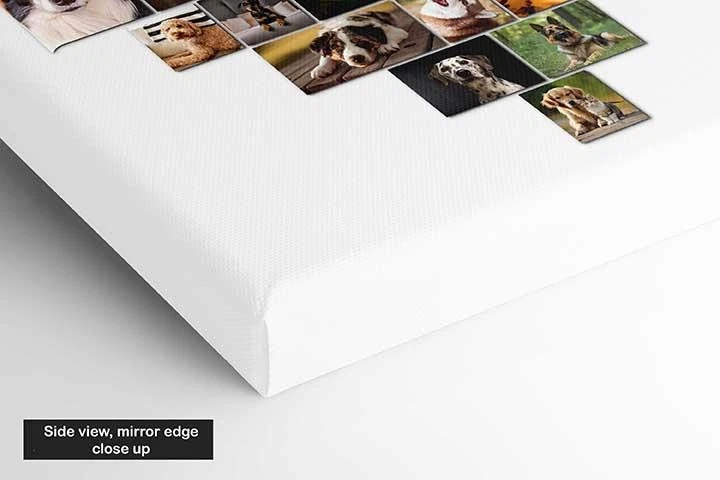 Pet memories, canvas picture print. Dog or cat memorial  - Image 3 of 4