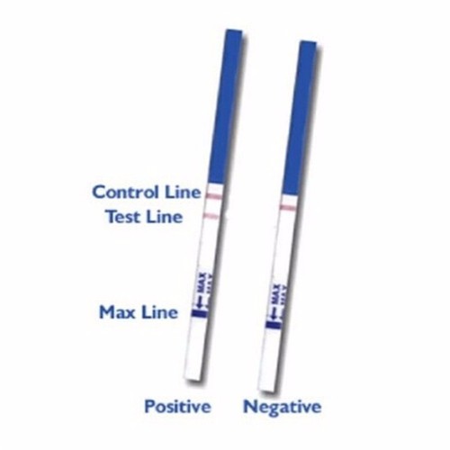 50/100/300pcs Private LH Ovulation Test Strip Predictor Fertility Kit Stick LOT - Picture 6 of 10