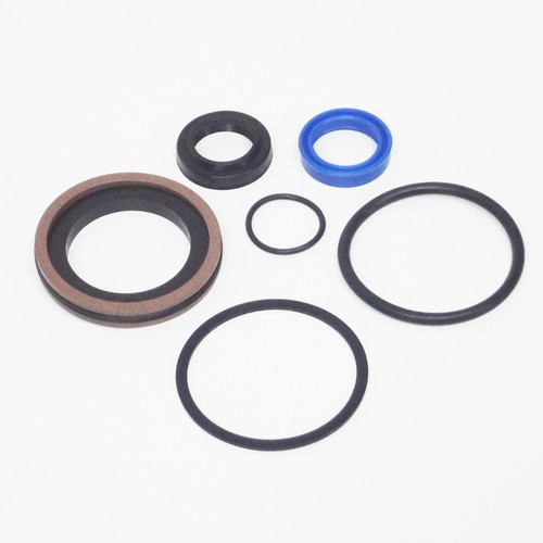 Forward Lift 2 post Cylinder Seal Kit / rebuild kit 7-10k lbs 992317skaa 992317 - Foto 7 di 12