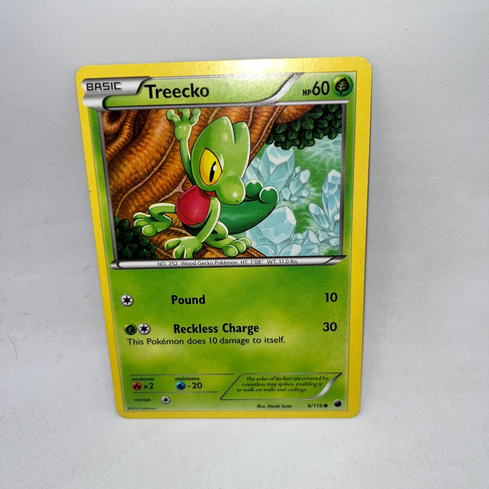 Treecko 6/116 Common Plasma Freeze Pokemon Moderately Played