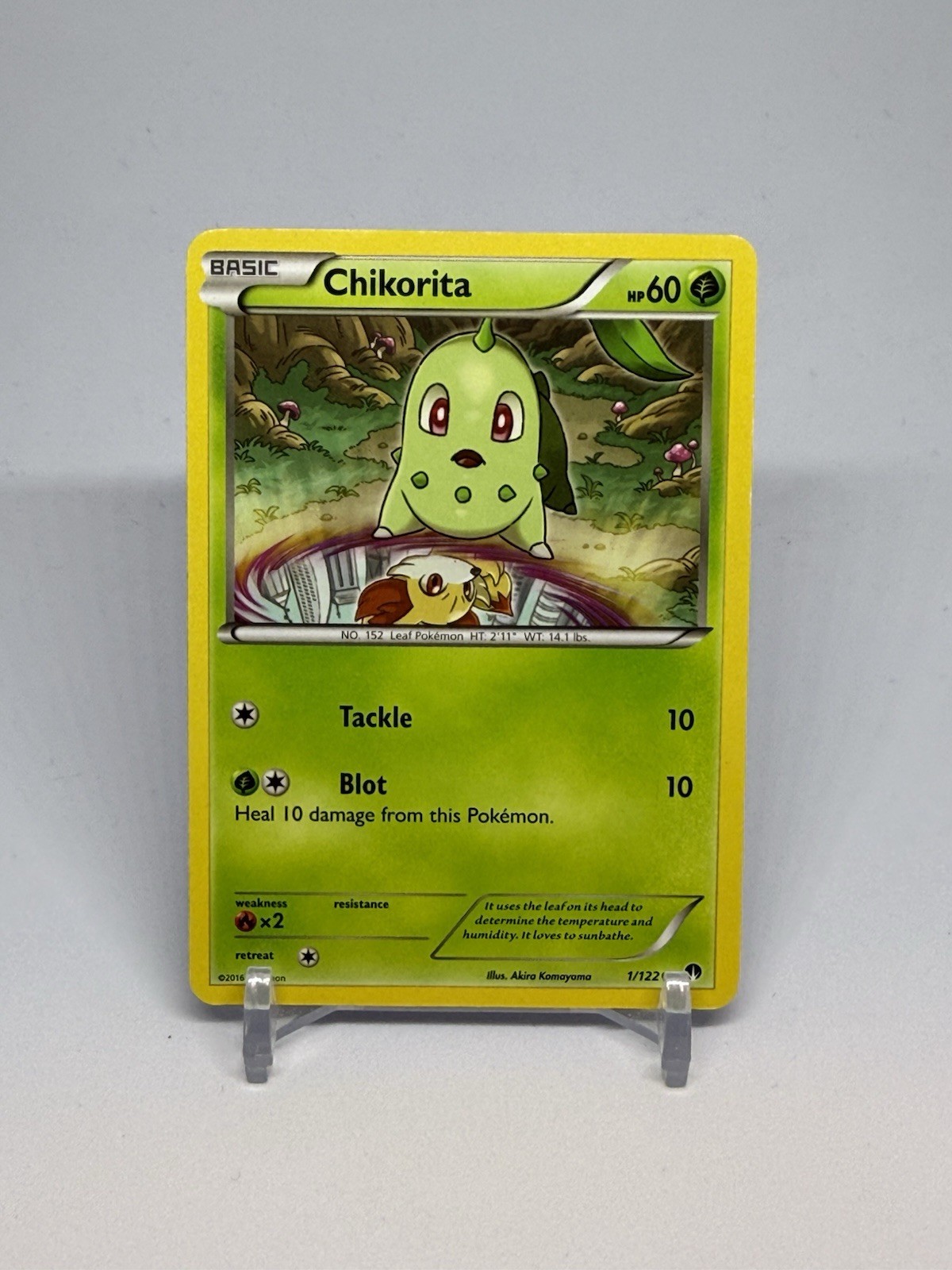 Pokémon TCG Chikorita 1/122 XY BREAKpoint Regular Common Card EN-LP 2016