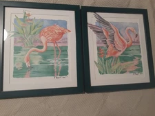 PAIR 10 X 12 Paul Brent Coastal Art Framed Flamingo Signed UNDER GLASS DATED c90