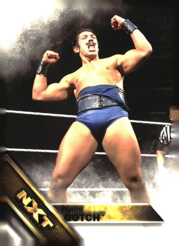 2016 Topps WWE base and inserts, bronze, silver - pick your card PYC - Picture 465 of 466