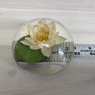 Picture 4 of 8