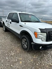 Used Engine Cooling Fan Blade fits: 2009 Ford F150 PICKUP engine driven Grade A