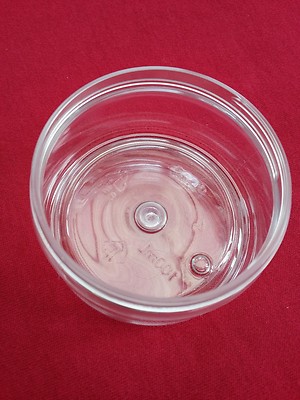 Small water bowls/feeding tubs for Reptile/Snake/Lizard as used by DTP ... - Snake Feeding Tubs