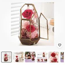 Mothers Day Flowers Gifts for Mom Grandma,Forever Real Preserved Roses in Gla...