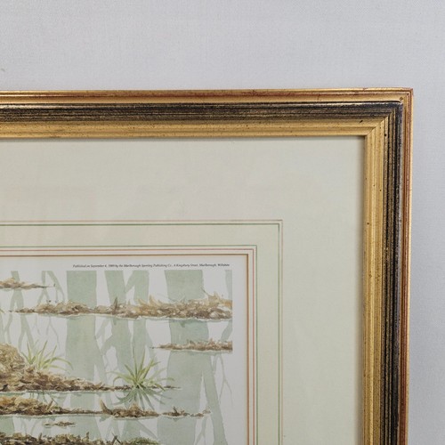 Limited Edition Andrew Stock Print "Woodcock" Signed - Picture 3 of 15