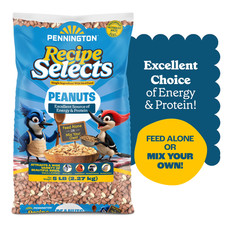 4 Pack Recipe Selects Shelled Peanuts for Birds and Wildlife, Wild Bird Food