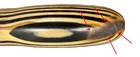 Foto 5 di 5