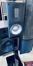 Raidho Acoustics X1t compreso di supporti dedicati 1 mese di vita 