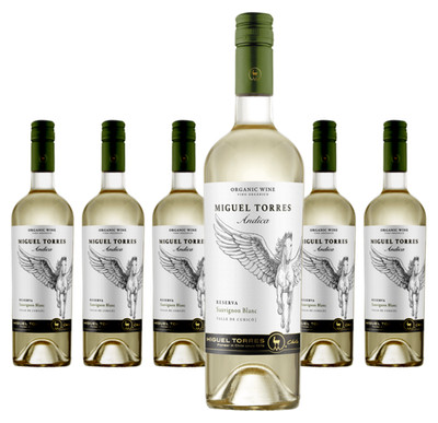 6 x Andica Reserva Sauvignon Blanc   2024