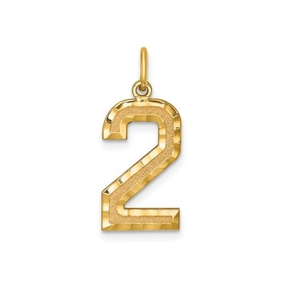 14k Yellow Gold Number 2 Pendant Unisex Textured High-Polish Numeric Charm