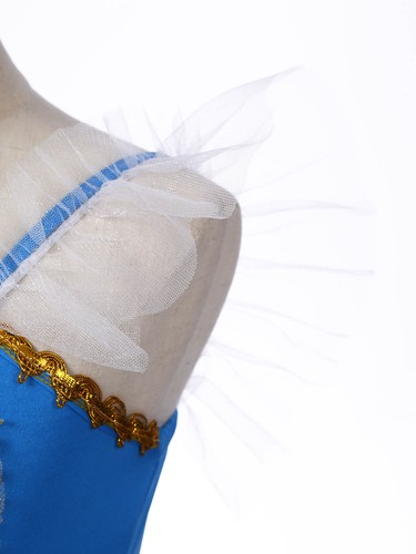 Girls Sparkly Ballet Dance Tutu Dress Swan Lake Dancewear Performance Costume - 第 57/60 張圖片