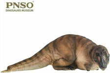 PNSO 1/35 Tyrannosaurus Rex Andrea Model Dinosaur T-Rex Collector Art Decor Gift