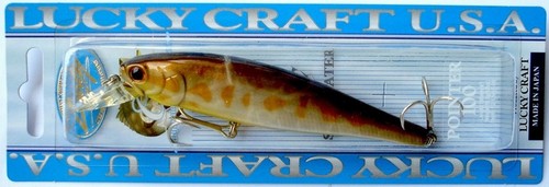 Lucky Craft Pointer 100 S Cif Noir Japon Wobbler, Appât ,Brochet,Prédateurs - Photo 11/18
