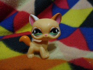 lps glitter cat