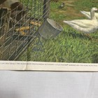 Bild 20 von 24