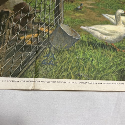 CITY and FARM 1963 Field Enterprises Educational Corporation Picture Poster RARE - Picture 20 of 24