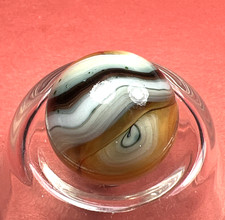 DAS/CHAMPION/WV/JABO TRANSPARENT  OPAQUE AVENTURINE SWIRL SHOOTER .67 BOX01/332