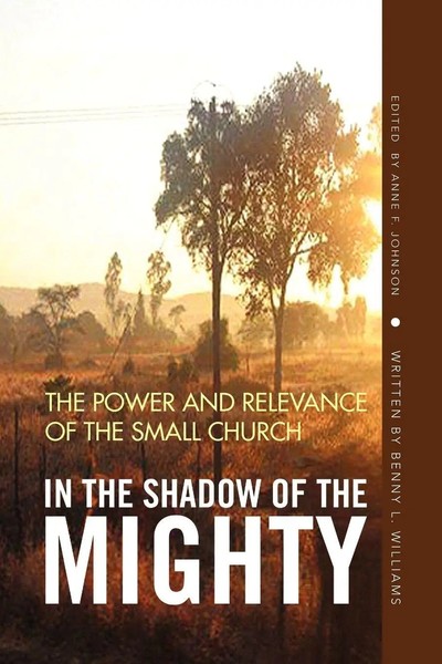 In The Shadow Of The Mighty Benny L. Williams Taschenbuch Englisch 2009 Xlibris-image