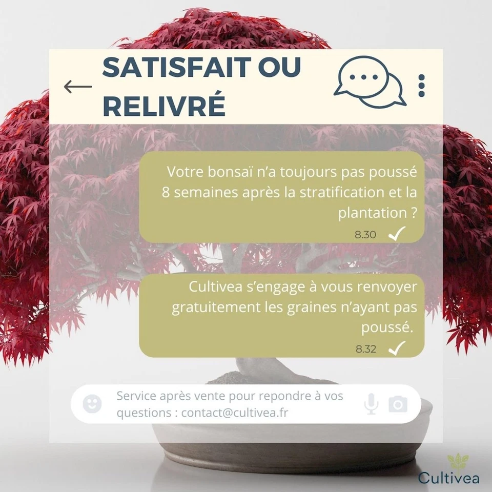 ® Mini Kit Prêt à Pousser 6 Bonsaï – Graines Françaises 100% Écologiques - Ja... - Photo 4/4