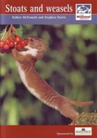 Stoats And Weasels | Englisch | Taschenbuch | Mammal Society Species Series