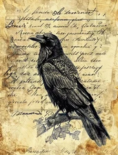 The Raven #5 | A4 Mulberry Rice Paper | Paper for Decoupage | Halloween