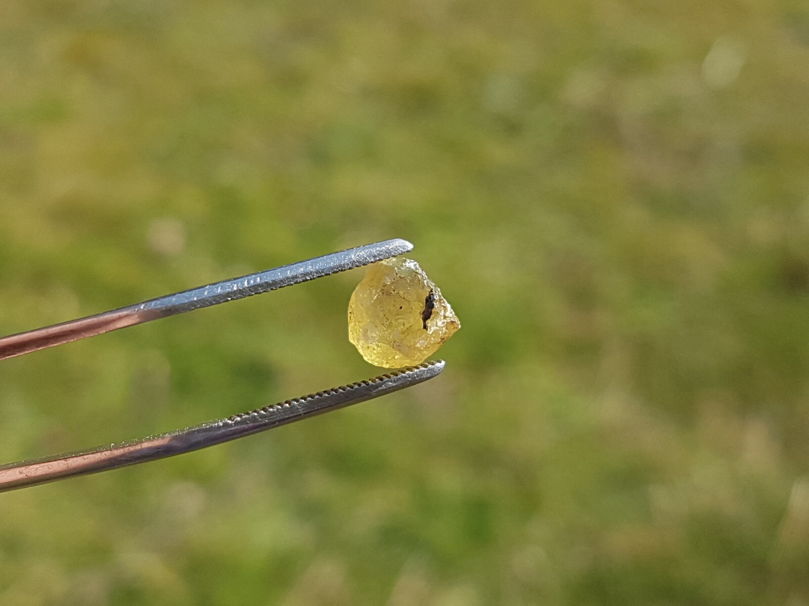 Saphir Jaune-vert De Madagascar Traité - 0.50 Carats 4.5 Mm - Avec étiquettes