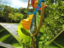 Men,s G String Well Endowed SUPER HERO Color, Trim  Back Choice Ask for color