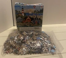 American Folk Art 1000 Piece Jigsaw Puzzle Ceaco Jane Wooster 2013