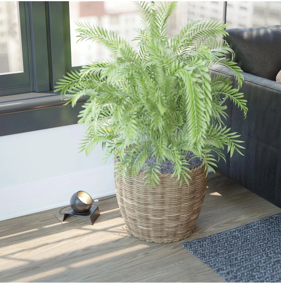 Foco Kenroy Home 205060RB Foto 2 de 2