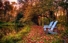 Landscape photography nature park fall trees bench Custom Gaming Mat Desk