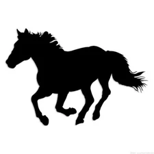 Horse Stallion - Decal Sticker - Multiple Colors & Sizes - ebn6189