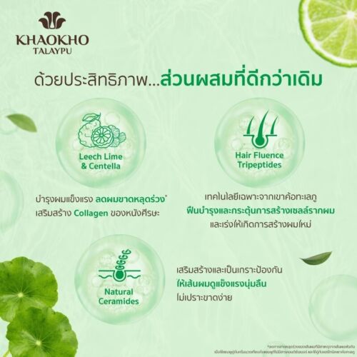 Khaokho Talaypu Lime and Centella Herbal Shampoo 180 ml. & Conditioner 160 ml. - Picture 4 of 5