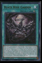 Black Rose Garden - DOOD-EN055 - Ultra Rare - 1st Edition