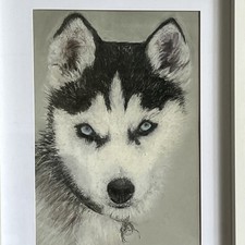 Original Chalk Pastel Drawing Of A Puppy Husky Dog. Framed.