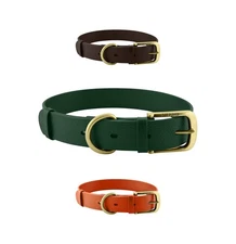 Heavy Duty Dog Collar Waterproof and Odor Proof with All Metal Hardware