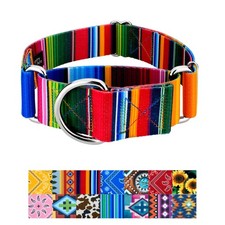 Country Brook Petz® HossFit Jr Wide Martingale Dog Collar