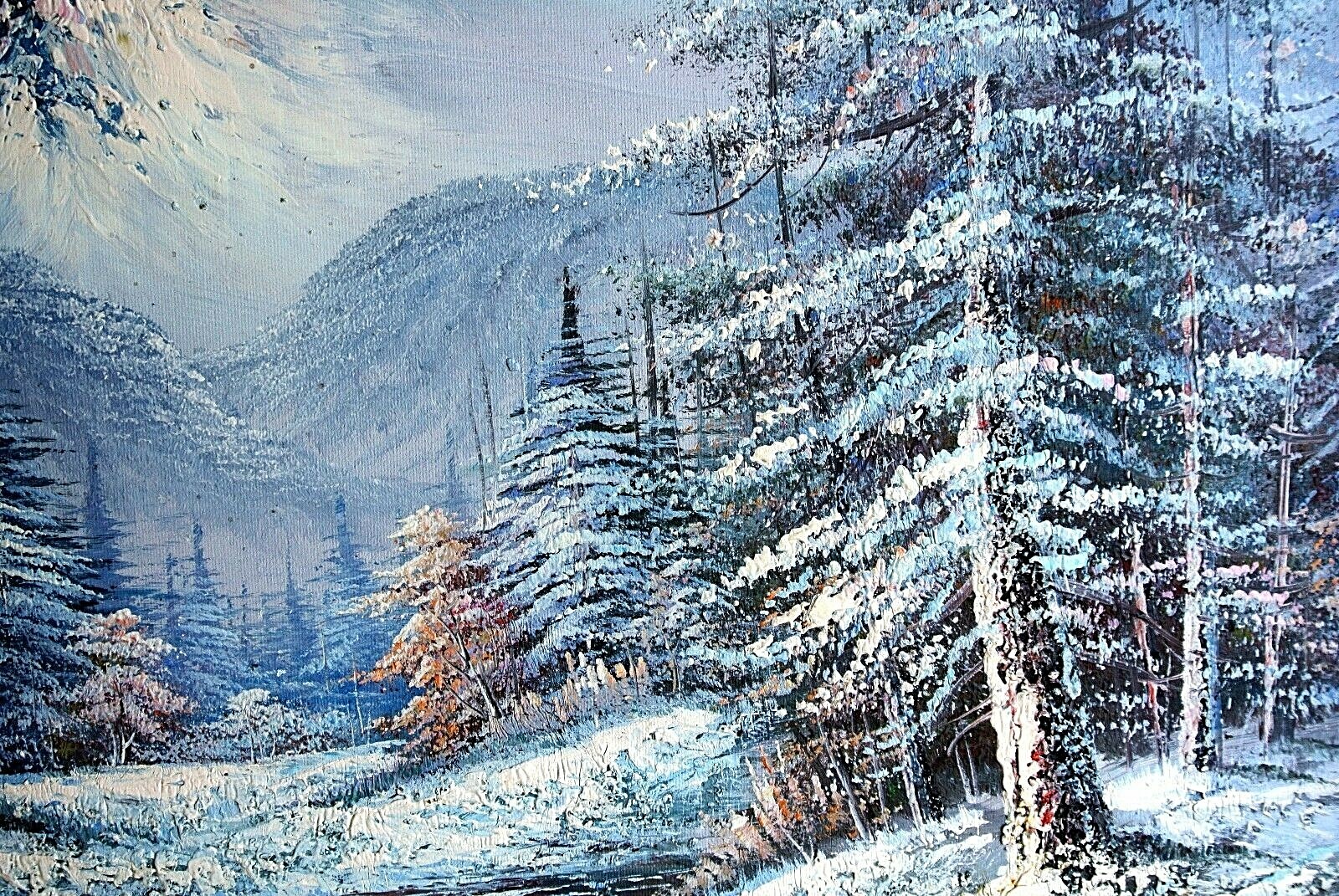 Picture 4 of 12