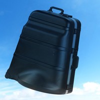 Skb Mid-sized Universal Tuba Case With Wheels Skb Mid-sized Universal Tuba Case With Wheels