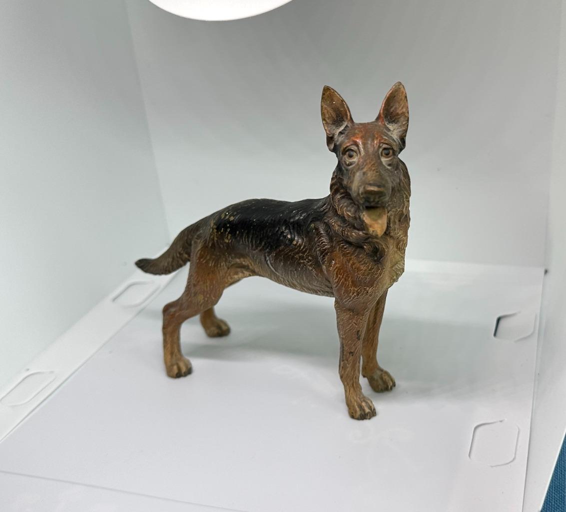 German Shepherd Dog Austrian Vienna Bronze Circa 1900 6.5 Inch