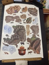 VINTAGE SMOKEY BEAR POSTER LOT OF 5 Trees Birds Tracks Lizards Home