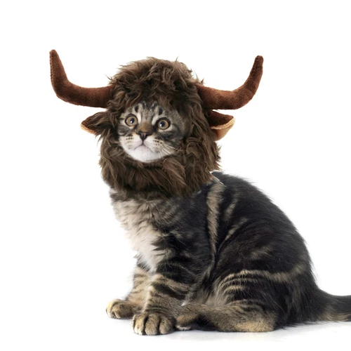 Lion Mane for Cats Funny Halloween Costume for Cats Snoods for Cats - Bild 7 von 42