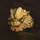 Picture 3 of 27
